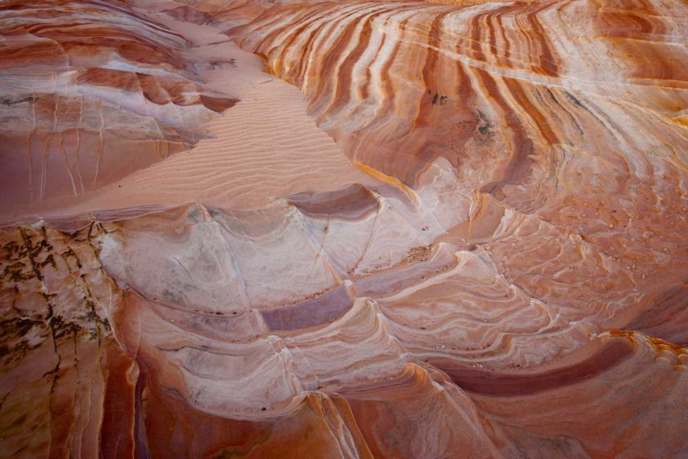Nevada, Valley of Fire SP Striped sandstone art print by Don Grall for $57.95 CAD