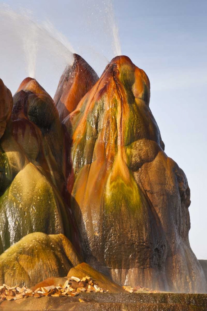 Nevada, Black Rock Desert View of the Fly Geyser art print by Cathy and Gordon Illg for $57.95 CAD