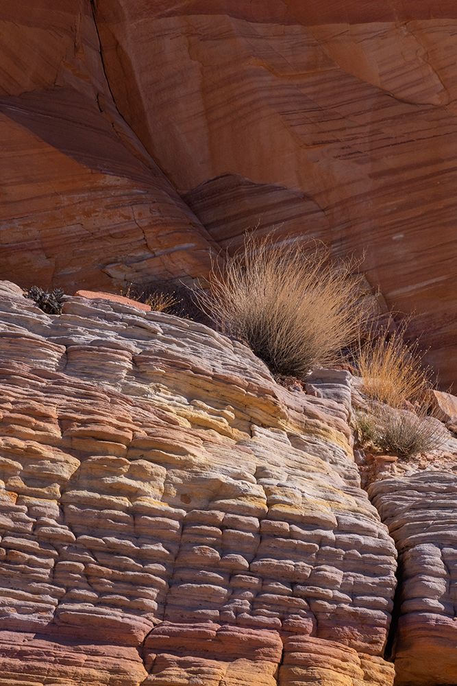 USA-Nevada Abstract lines in the sandstone-Valley of Fire State Park art print by Judith Zimmerman for $57.95 CAD