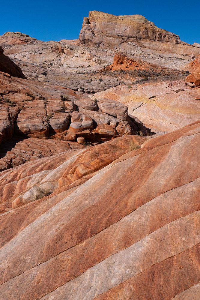 USA-Nevada Abstract lines in the sandstone-Valley of Fire State Park art print by Judith Zimmerman for $57.95 CAD
