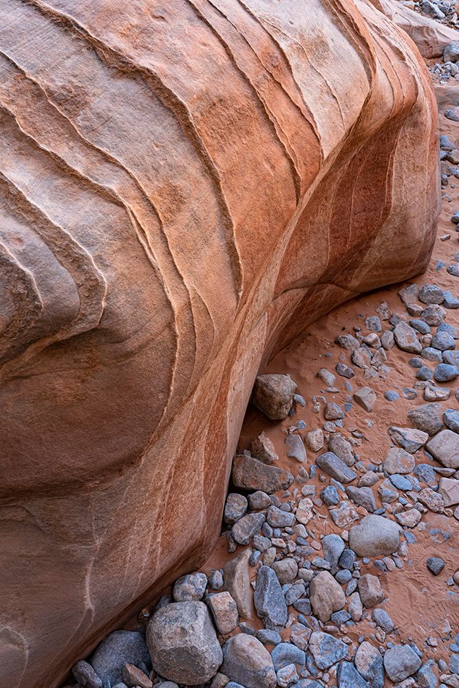 USA-Nevada Abstract lines in the sandstone-Valley of Fire State Park art print by Judith Zimmerman for $57.95 CAD