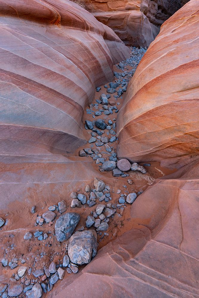 USA-Nevada Abstract lines in the sandstone-Valley of Fire State Park art print by Judith Zimmerman for $57.95 CAD