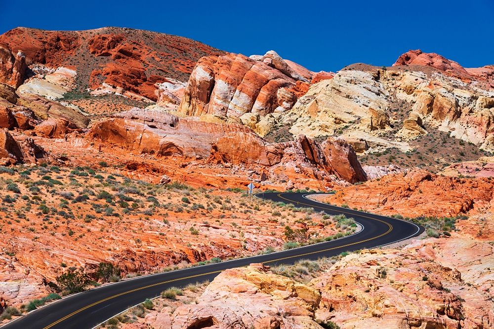 The park road winding through colorful sandstone-Valley of Fire State Park-Nevada-USA art print by Russ Bishop for $57.95 CAD