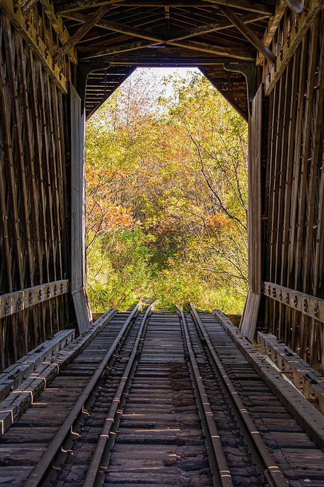 USA-New Hampshire-fall foliage art print by Allison Jones for $57.95 CAD