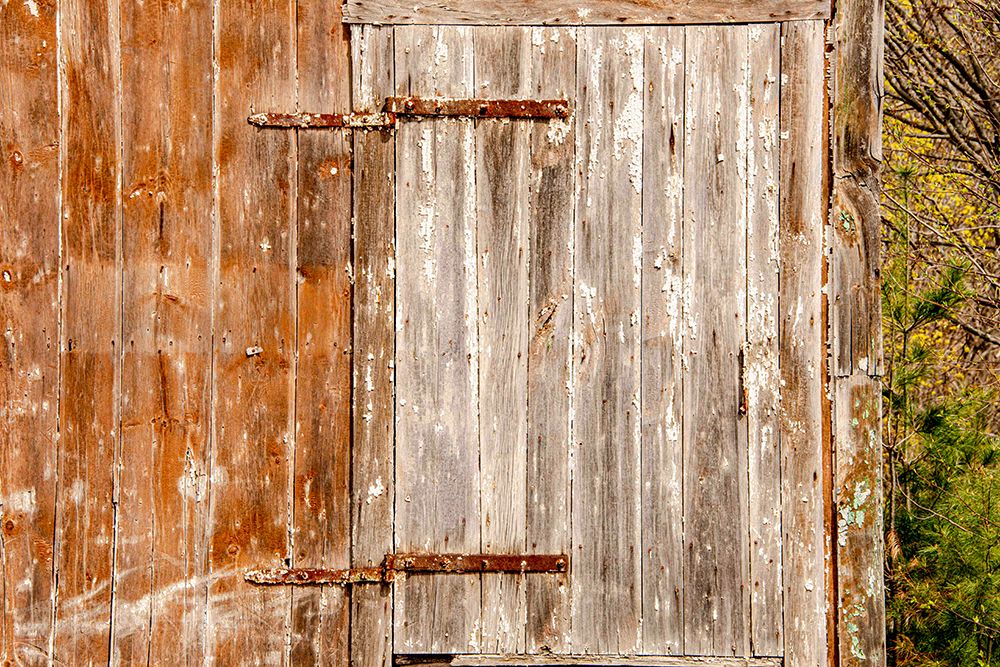 USA, New Hampshire, Troy. Old barn door with rusted strap hinge. art print by Alison Jones for $57.95 CAD