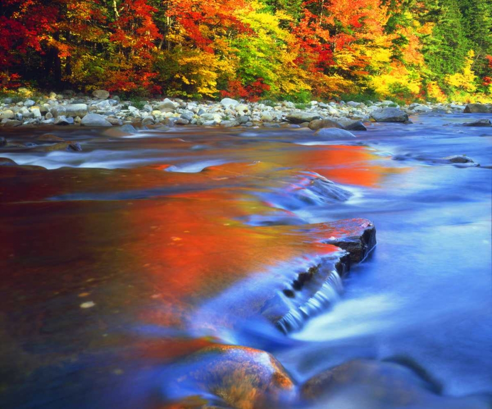 NH, White Mts, Swift River reflecting Autumn art print by Christopher Talbot Frank for $57.95 CAD