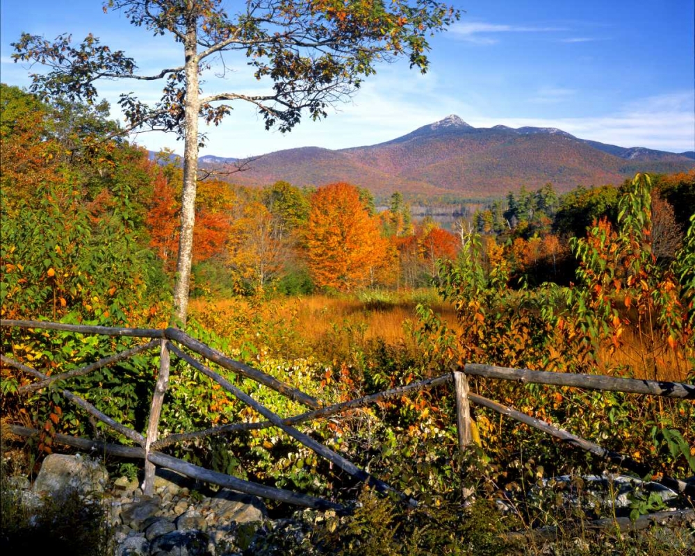 NH, Chocorua Autumn landscape of Mount Chocorua art print by Steve Terrill for $57.95 CAD