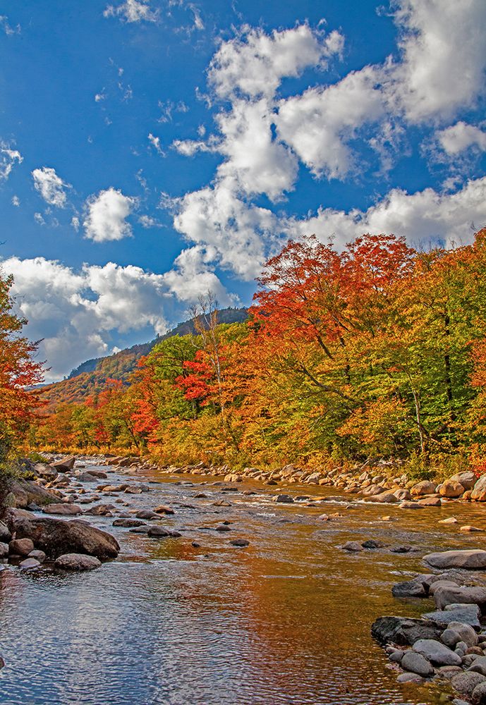 USA-New Hampshire-White Mountains National Forest and Swift River along Highway 112 in Autumn from art print by Sylvia Gulin for $57.95 CAD