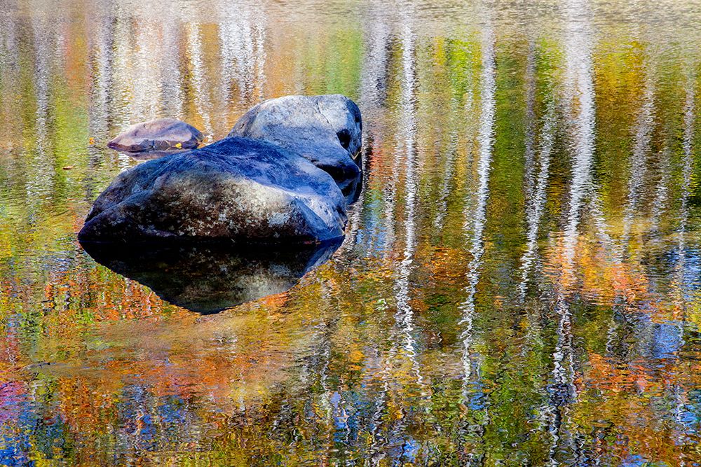 USA-New Hampshire-Gorham Autumn colors reflected in small pond art print by Sylvia Gulin for $57.95 CAD