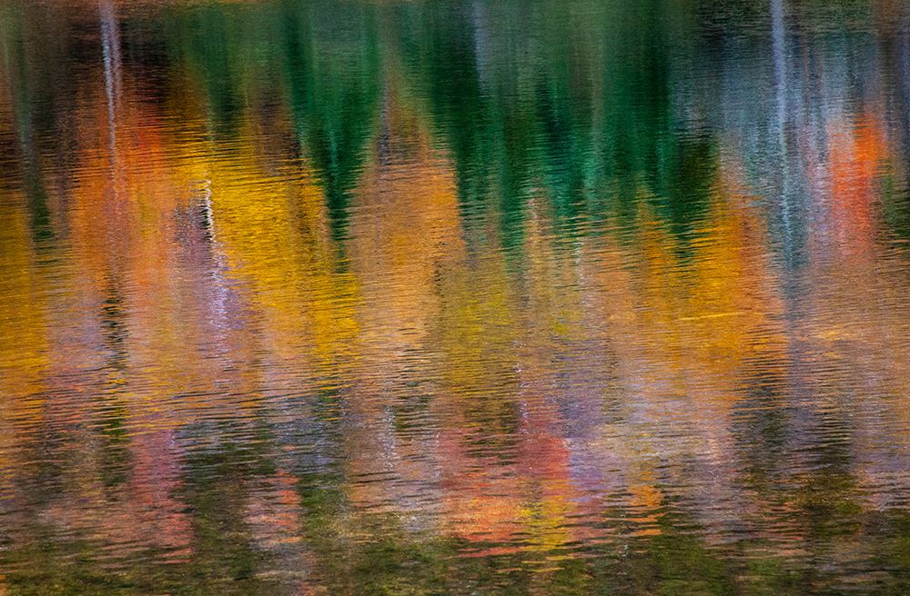 USA-New Hampshire-New England Fall colors reflected in the waters of the Saco River Crawford Notch art print by Sylvia Gulin for $57.95 CAD