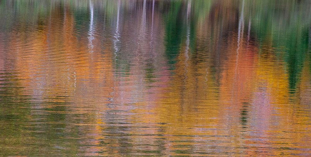 USA-New Hampshire-New England Fall colors reflected in the waters of the Saco River Crawford Notch art print by Sylvia Gulin for $57.95 CAD
