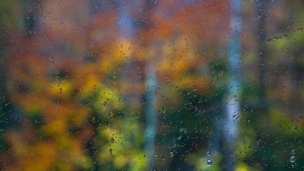 USA-New Hampshire-Sugar Hill looking through windshield on rainy day with Hardwood trees in Autumn art print by Sylvia Gulin for $57.95 CAD