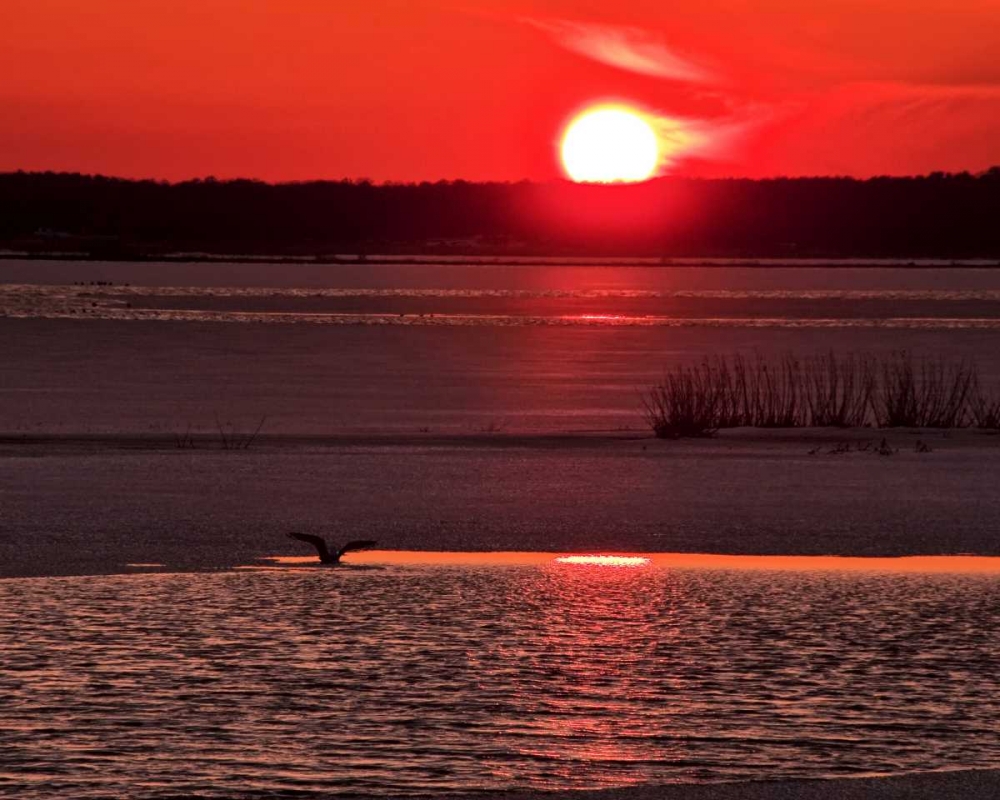New Jersey, Cape May Sunset reflection on water art print by Jay OBrien for $57.95 CAD
