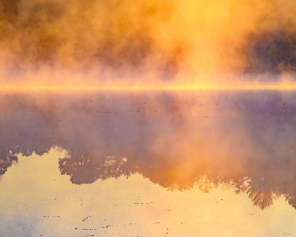 New Jersey-Belleplain State Forest Sunrise on lake fog art print by Jaynes Gallery for $57.95 CAD