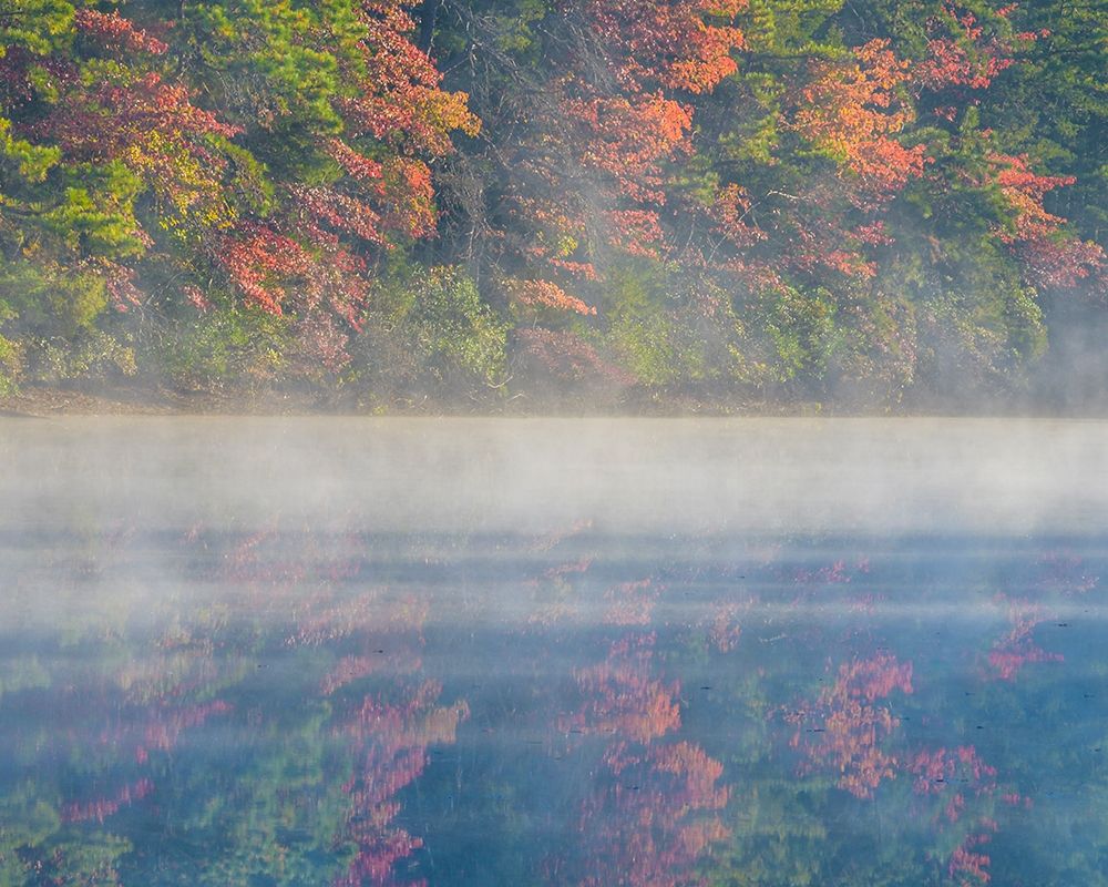 New Jersey-Belleplain State Forest Sunrise on lake fog art print by Jaynes Gallery for $57.95 CAD