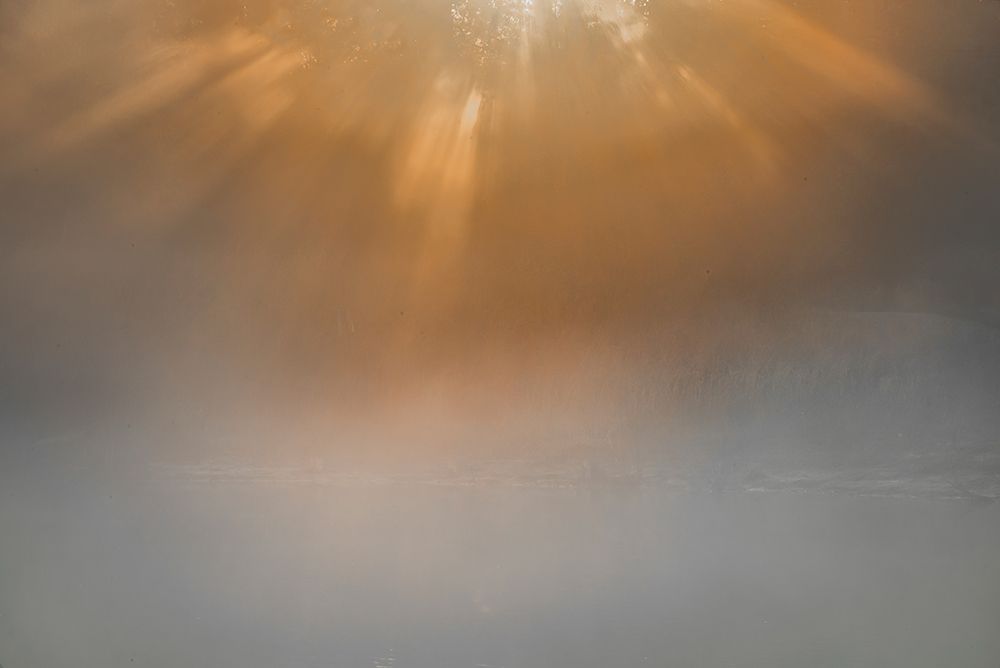 USA-New Jersey-Cape May National Seashore Sunrise beams on foggy ocean art print by Jaynes Gallery for $57.95 CAD