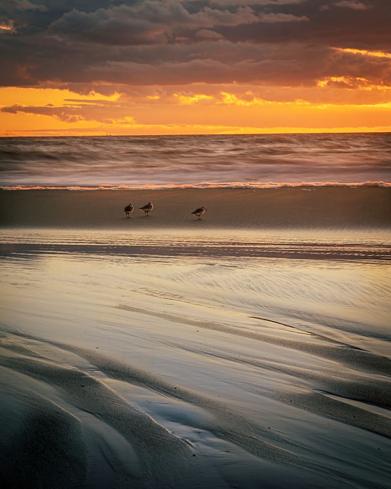 USA-New Jersey-Cape May National Seashore Cloudy sunset on seashore art print by Jaynes Gallery for $57.95 CAD