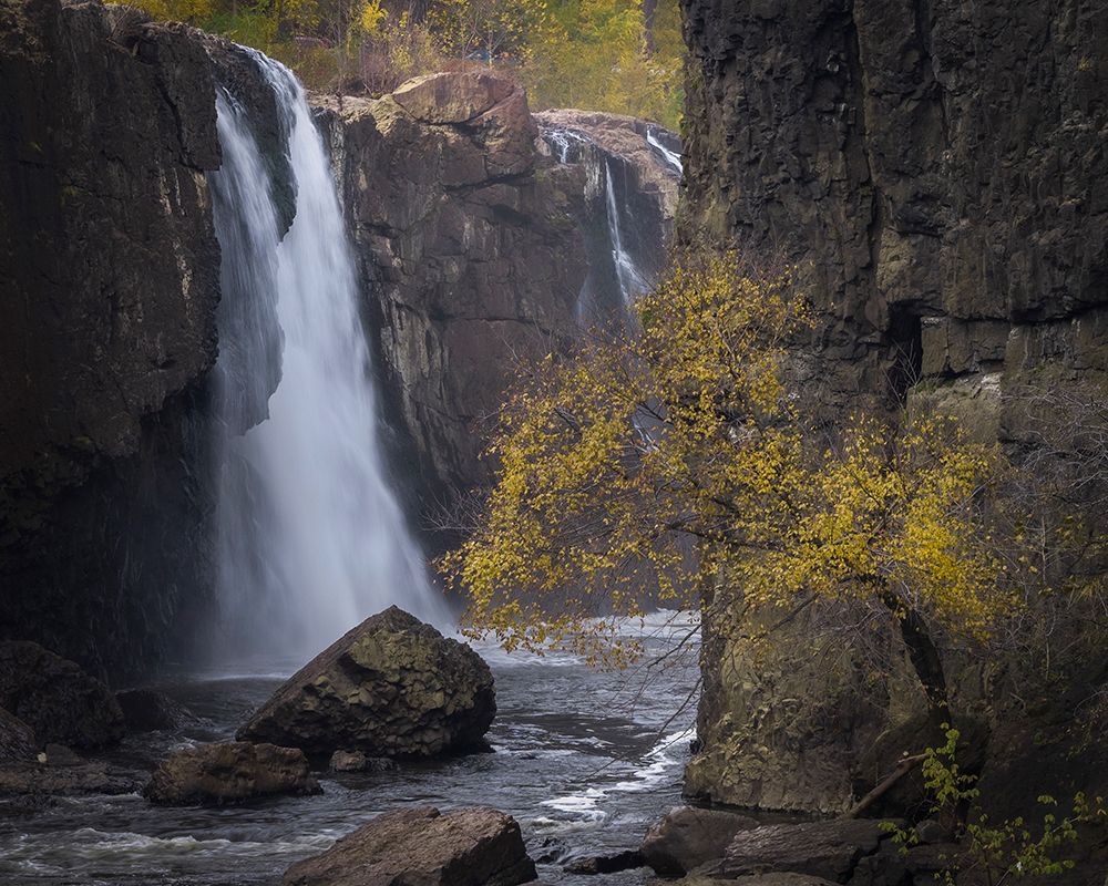 USA-New Jersey-Great Falls State Park Waterfall and tree in autumn art print by Jaynes Gallery for $57.95 CAD