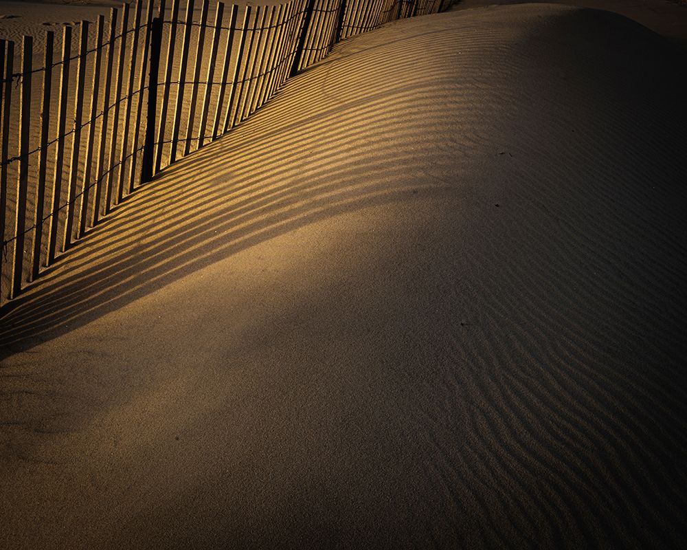 USA-New Jersey-Cape May National Seashore Fence shadow patterns in sand art print by Jaynes Gallery for $57.95 CAD