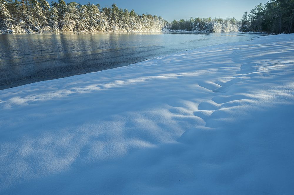 USA-New Jersey-Pine Barrens National Preserve Snow-covered forest and lake shore art print by Jaynes Gallery for $57.95 CAD