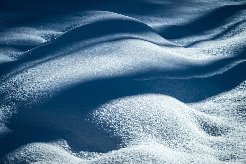 USA-New Jersey-Pine Barrens National Preserve Shadow patterns on fresh snow art print by Jaynes Gallery for $57.95 CAD
