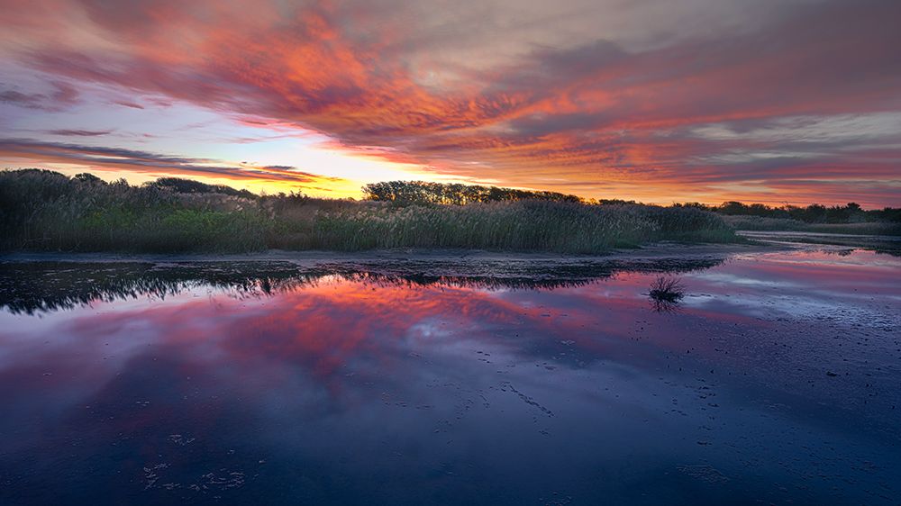 USA-New Jersey-Cape May National Seashore Sunrise on marsh art print by Jaynes Gallery for $57.95 CAD