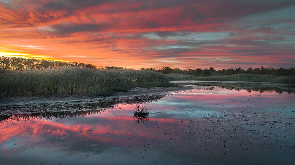 USA-New Jersey-Cape May National Seashore Sunrise on marsh art print by Jaynes Gallery for $57.95 CAD