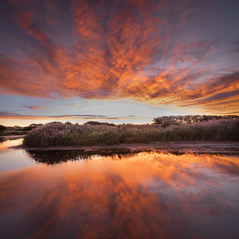 USA-New Jersey-Cape May National Seashore Sunrise on marsh art print by Jaynes Gallery for $57.95 CAD