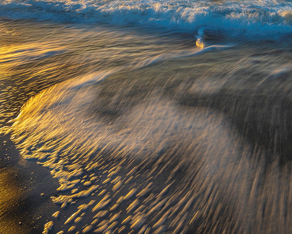USA-New Jersey-Cape May National Seashore Sunrise on ocean shore art print by Jaynes Gallery for $57.95 CAD