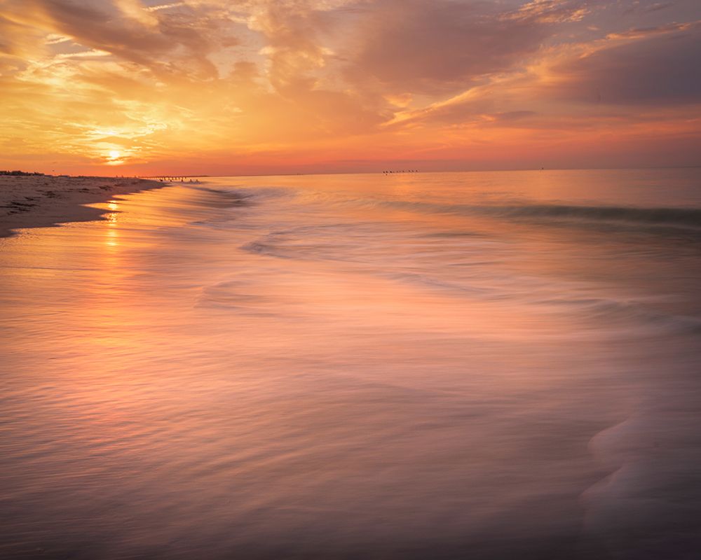USA-New Jersey-Cape May National Seashore Sunrise on shoreline art print by Jaynes Gallery for $57.95 CAD
