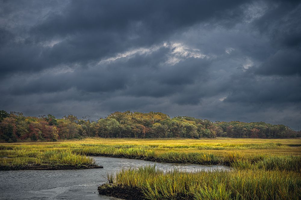 USA, New Jersey, Pine Barrens National Preserve. Storm over marsh and forest landscape. art print by Jaynes Gallery for $57.95 CAD