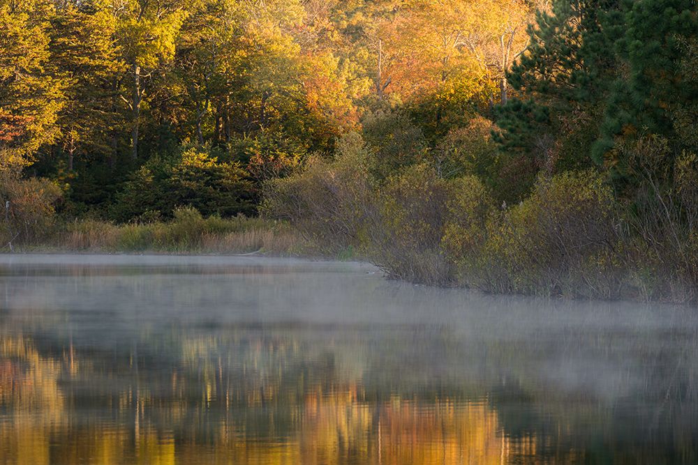 USA, New Jersey, Pine Barrens National Preserve. Autumn foliage reflected in pond. art print by Jaynes Gallery for $57.95 CAD
