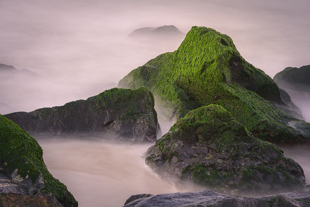USA, New Jersey, Cape May National Seashore. Sunrise on ocean shore rocks. art print by Jaynes Gallery for $57.95 CAD
