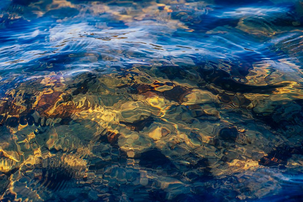 USA, New Jersey, Pinelands National Reserve. Reflections on clear lake water. art print by Jaynes Gallery for $57.95 CAD