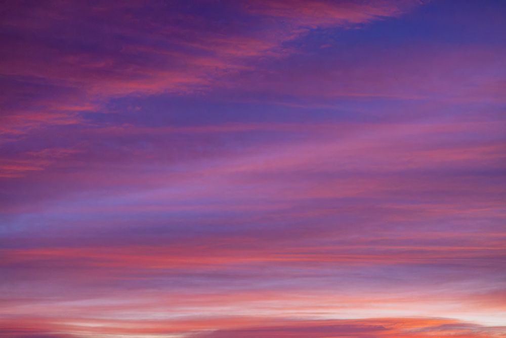 Sunrise sky over Bosque del Apache National Wildlife Refuge, New Mexico art print by Adam Jones for $57.95 CAD