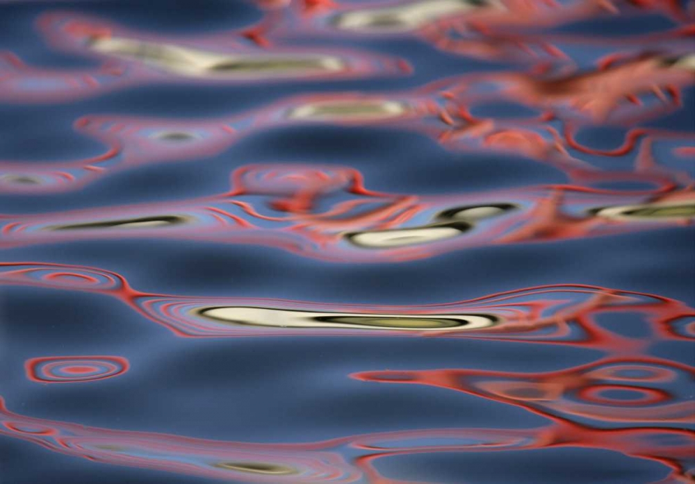 New Mexico, Socorro Red patterns in water art print by Arthur Morris for $57.95 CAD