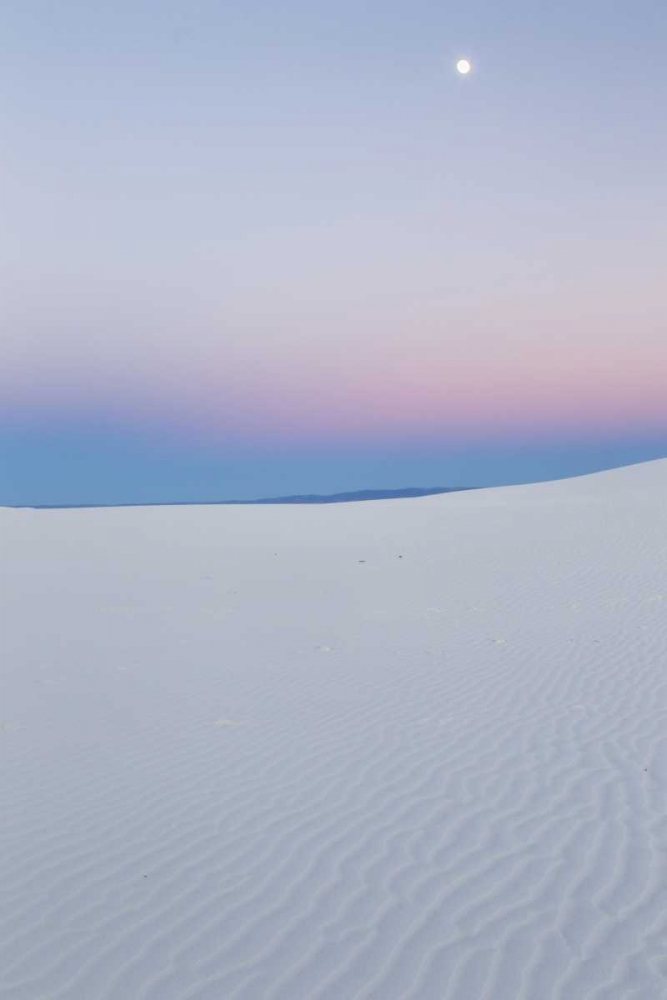 New Mexico, White Sands NM Moon over desert art print by Cathy and Gordon Illg for $57.95 CAD