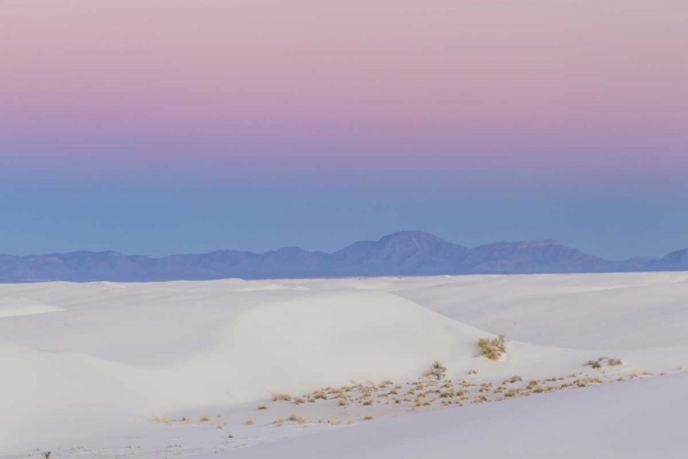 New Mexico, White Sands NM Desert at sunset art print by Cathy and Gordon Illg for $57.95 CAD