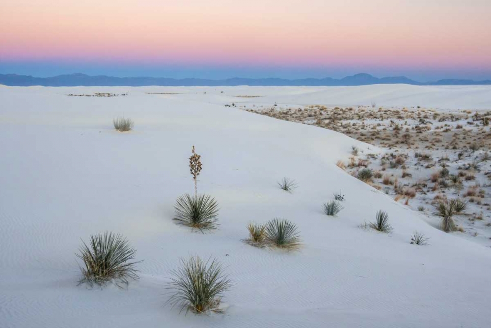 New Mexico, White Sands NM Sunset over desert art print by Cathy and Gordon Illg for $57.95 CAD