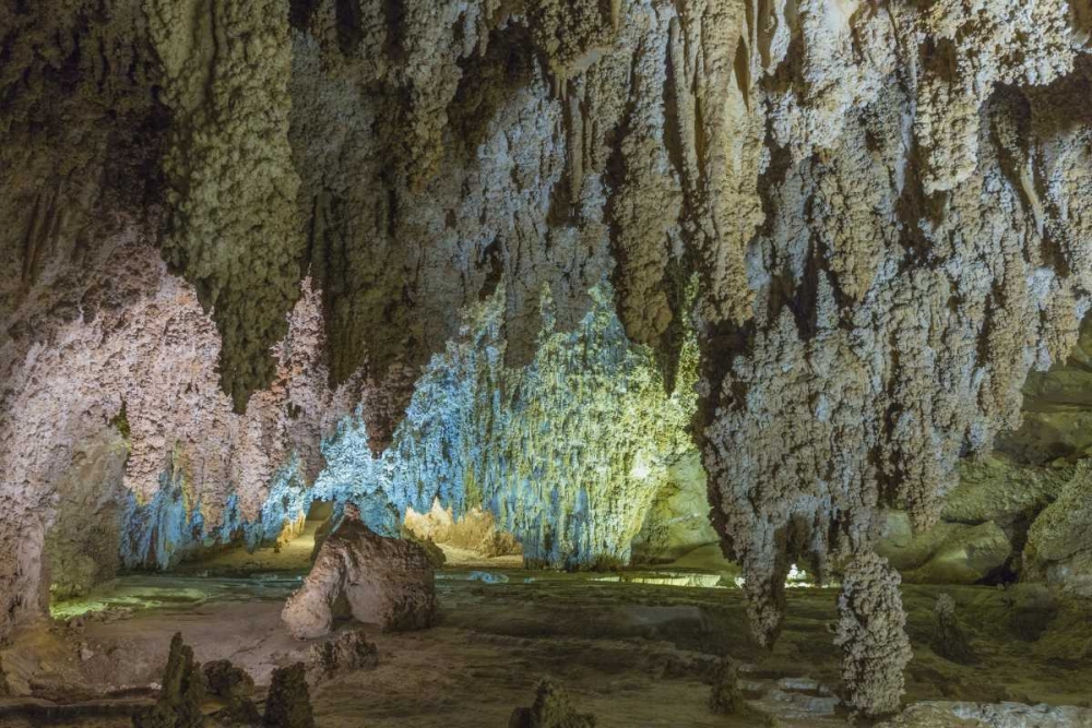 New Mexico, Carlsbad Caverns Scenic of cavern art print by Don Paulson for $57.95 CAD