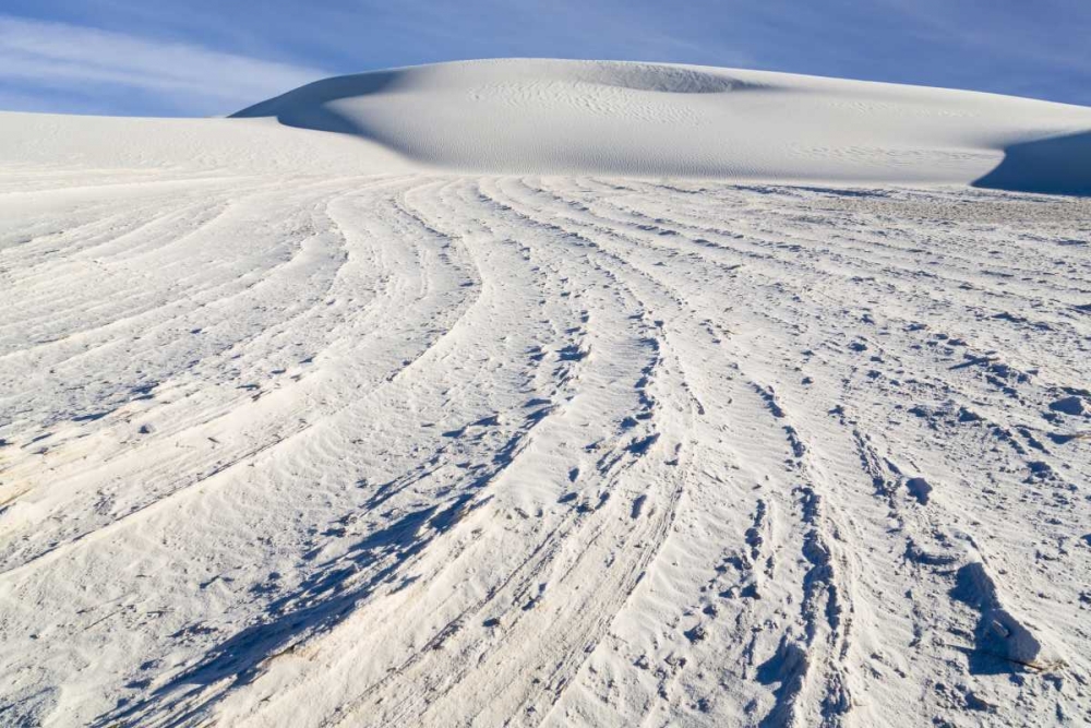 New Mexico, White Sands NM Desert landscape art print by Don Paulson for $57.95 CAD