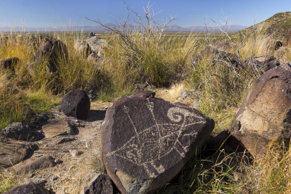 New Mexico, Three Rivers, Petroglyph on rock art print by Don Paulson for $57.95 CAD