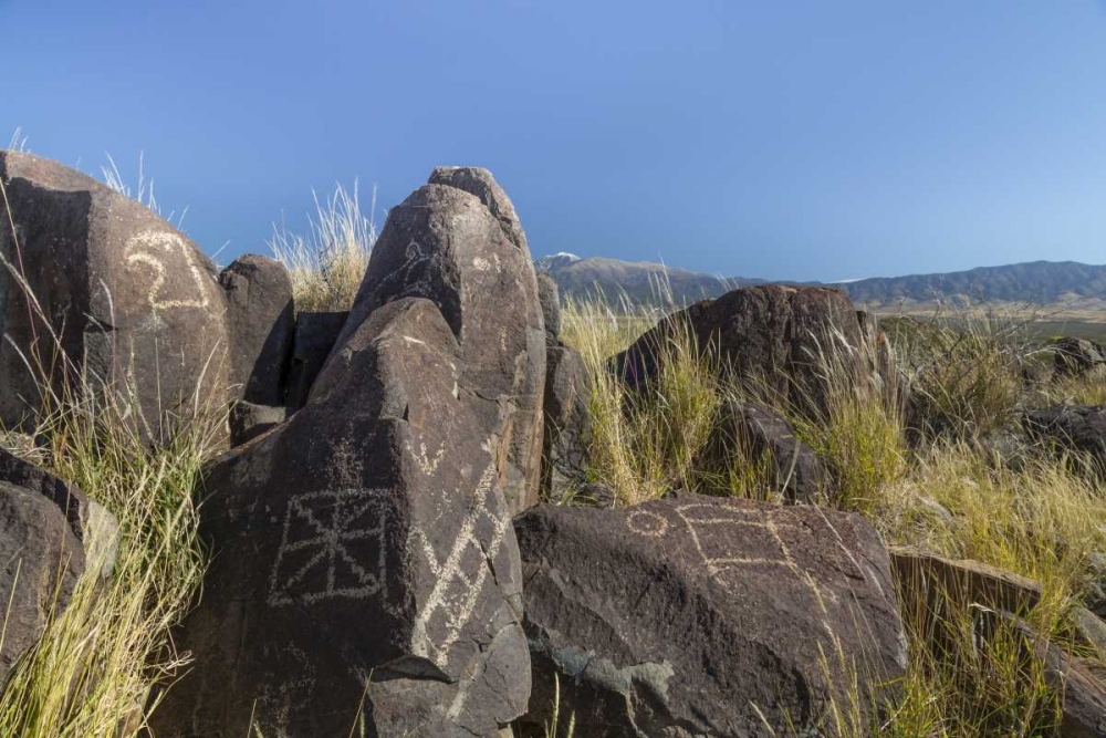 New Mexico, Three Rivers Petroglyph etchings art print by Don Paulson for $57.95 CAD