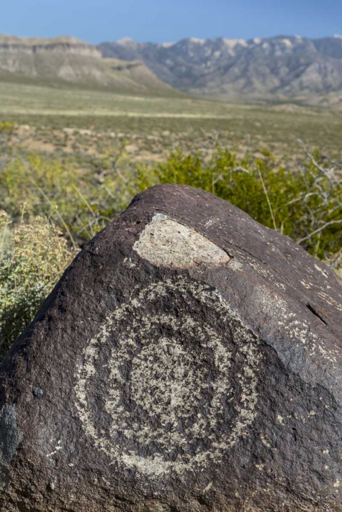 New Mexico, Three Rivers, Petroglyph on rock art print by Don Paulson for $57.95 CAD