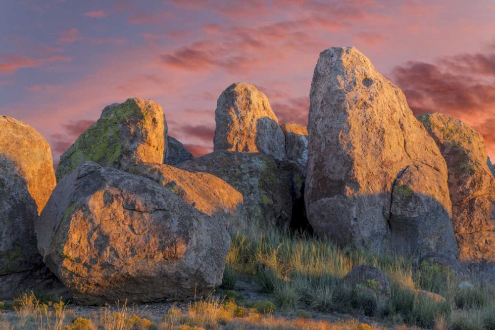 New Mexico, City of Rocks SP Sunset on boulders art print by Don Paulson for $57.95 CAD