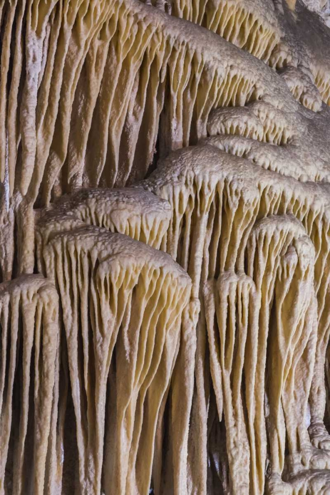 New Mexico, Carlsbad Caverns Limestone formation art print by Don Paulson for $57.95 CAD