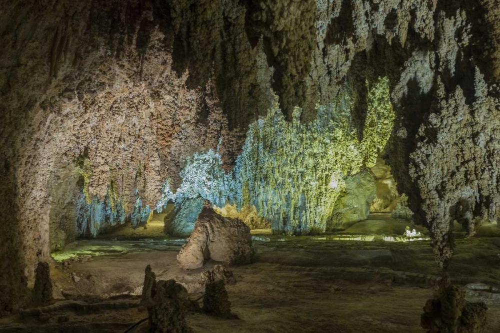 New Mexico, Carlsbad Caverns Scenic of cavern art print by Don Paulson for $57.95 CAD