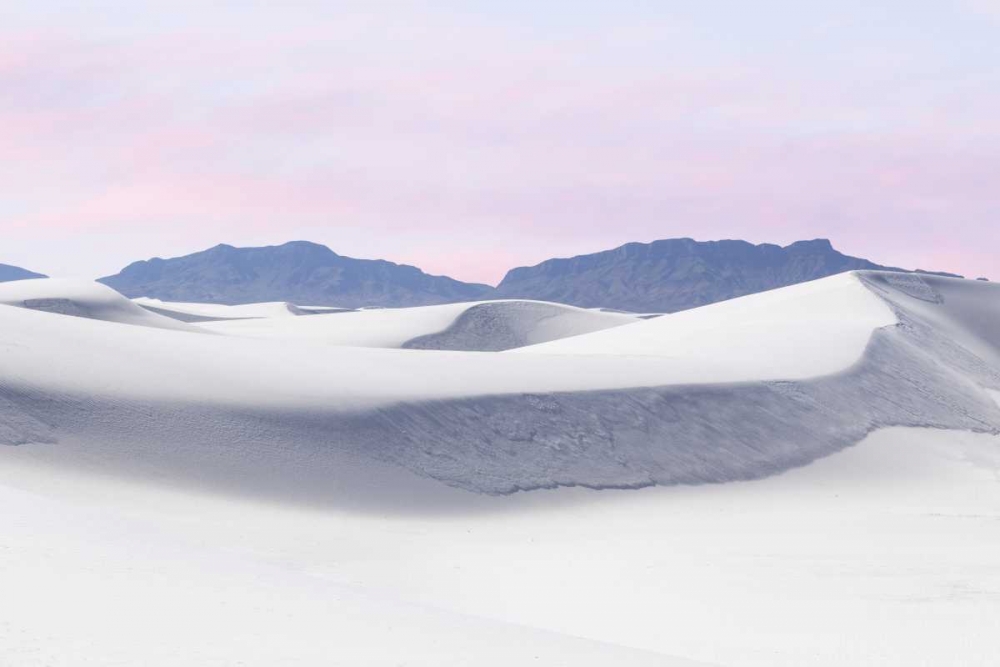 New Mexico, White Sands NM Desert landscape art print by Don Paulson for $57.95 CAD