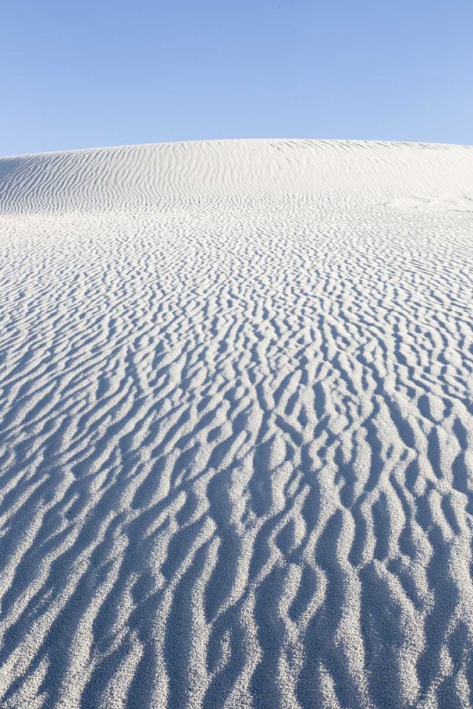 New Mexico, White Sands NM Desert landscape art print by Don Paulson for $57.95 CAD