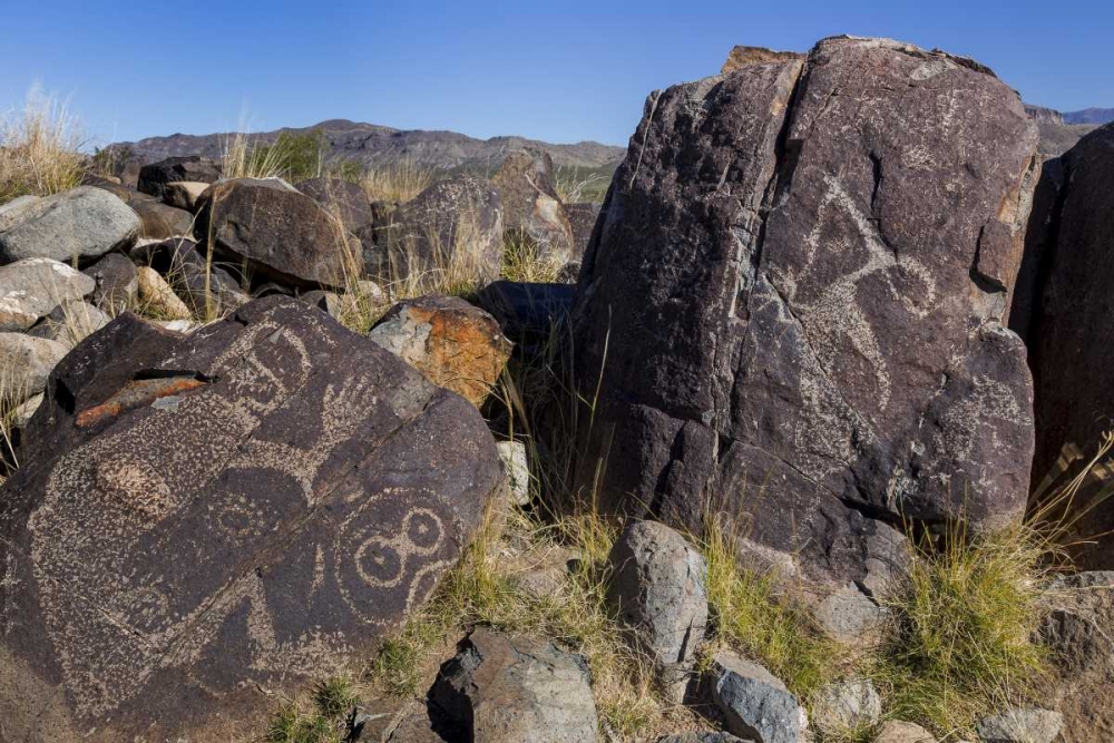 New Mexico, Three Rivers Petroglyph etchings art print by Don Paulson for $57.95 CAD